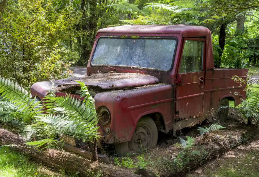 Abandoned old vehicle surrounded by vegetation for junk car removal